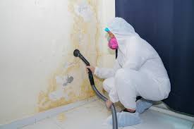 Best Water Damage & Mold Remediation  in Sturtevant, WI